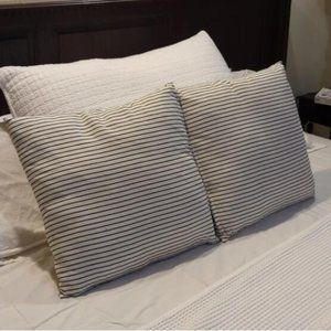 Pillows (2) Striped Black and White